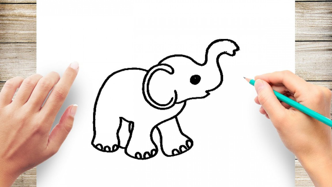 How to Draw a Baby Elephant for Kids Step by Step