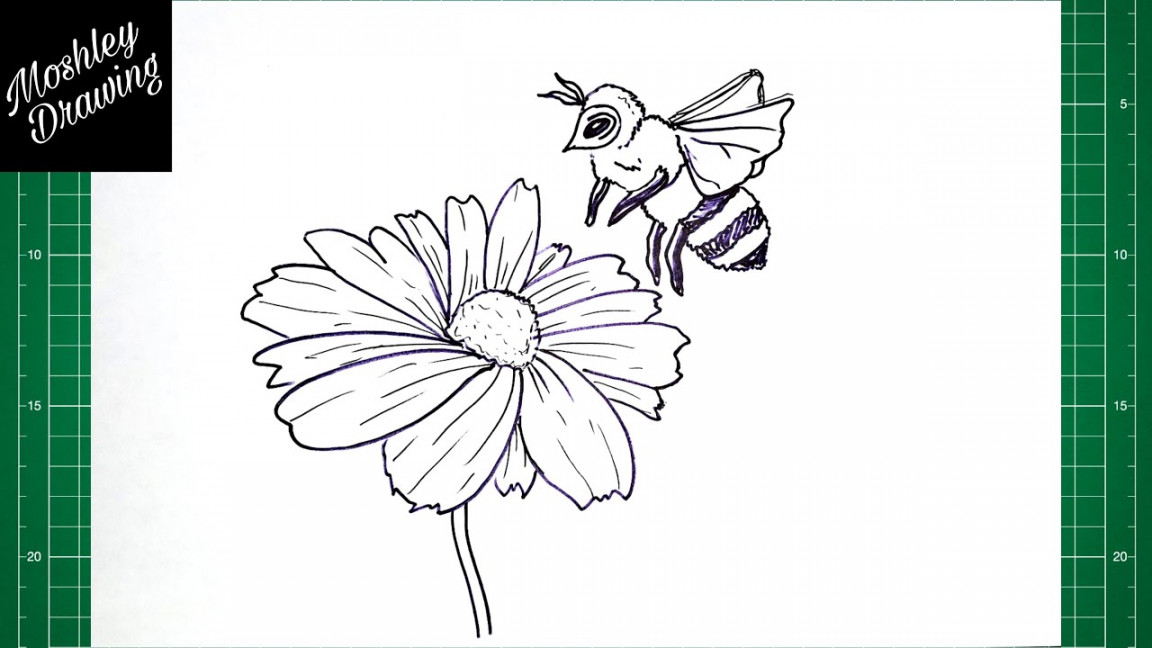 How to Draw a Bee on a Flower