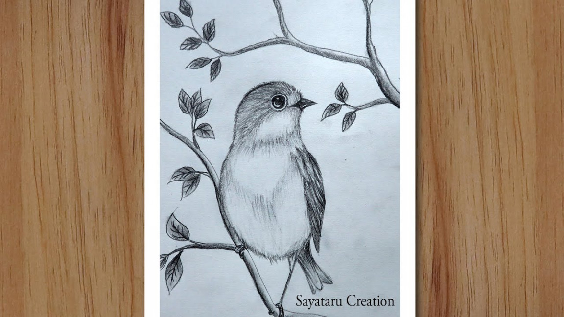 How to draw a Bird Scenery with pencil step by step, Pencil Drawing for  beginners