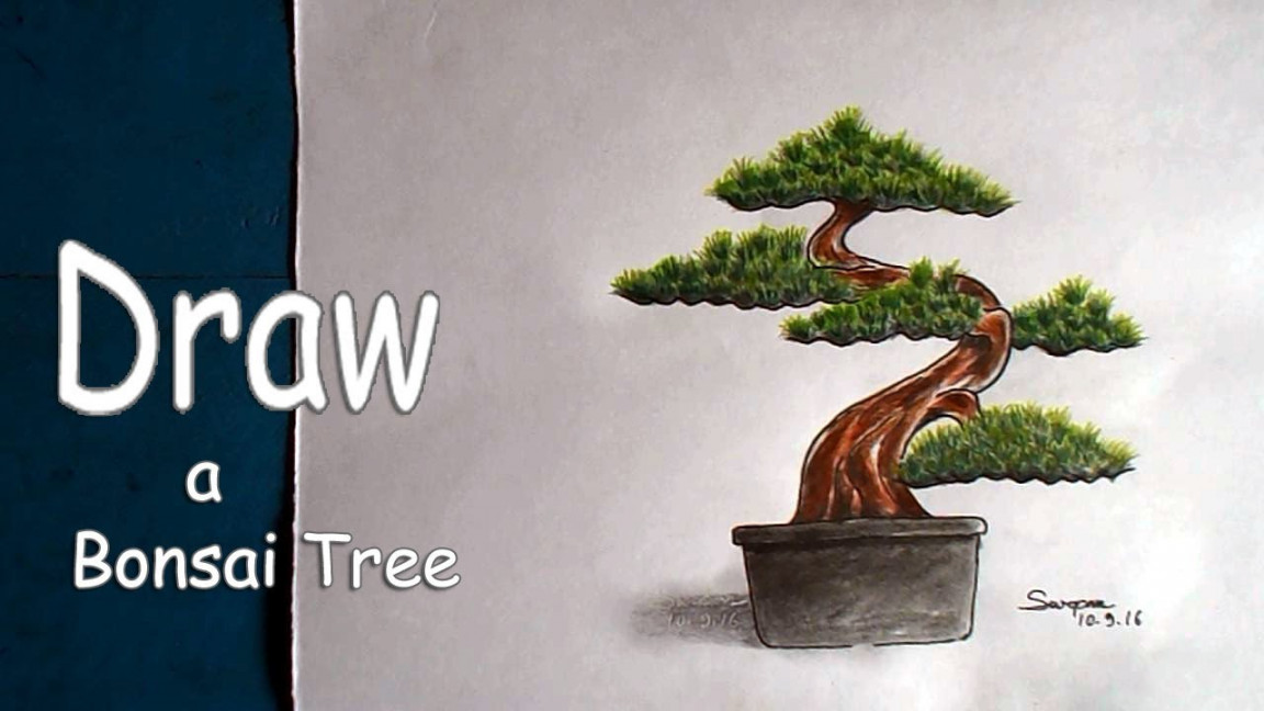 How to Draw a Bonsai Tree with Pencil, Draw a Bonsai Tree, Step by Step