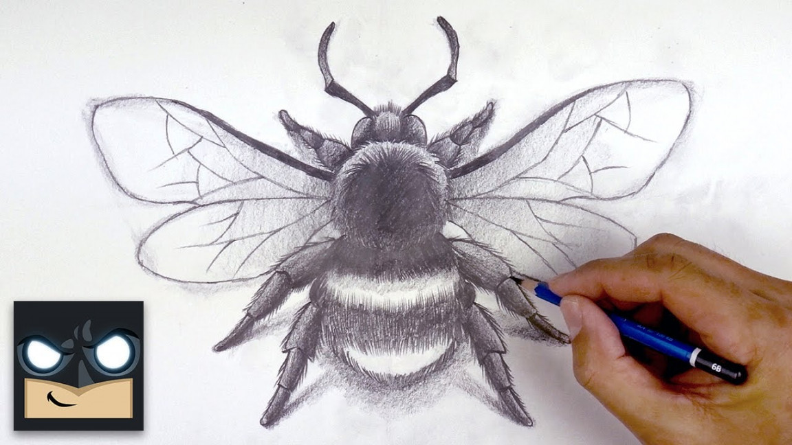 How To Draw a Bumble Bee  Sketch Sunday (Step by Step)