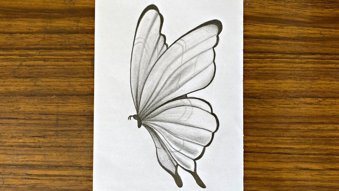 How to draw a butterfly  Easy drawing ideas for beginners  Drawing  tutorial