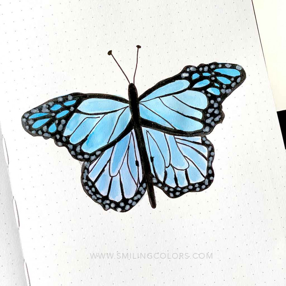 How to Draw a Butterfly Step by Step - Smiling Colors