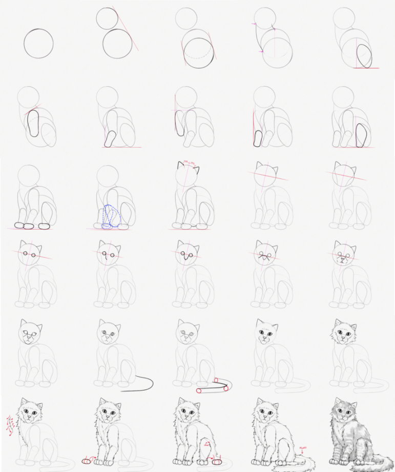 How to Draw a Cat (Realistic, Step-by-Step Tutorial) – Artlex