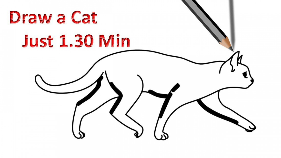 How to Draw a Cat Walking Step by Step Easy Drawing