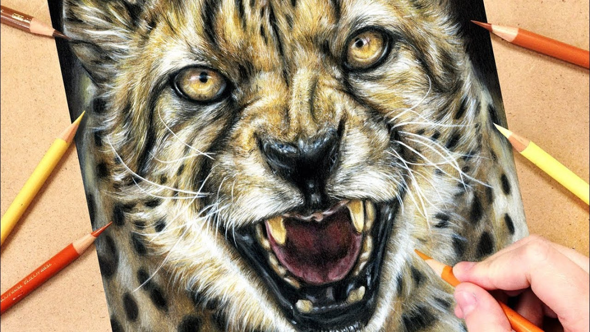 How to Draw a Cheetah using Coloured Pencils  Realistic Animal Drawing  Tutorial