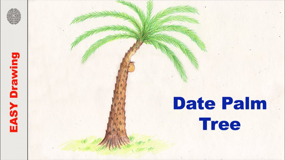 How to Draw a Date palm tree  Date palm tree Drawing Easy Step by Step   Draw step by step