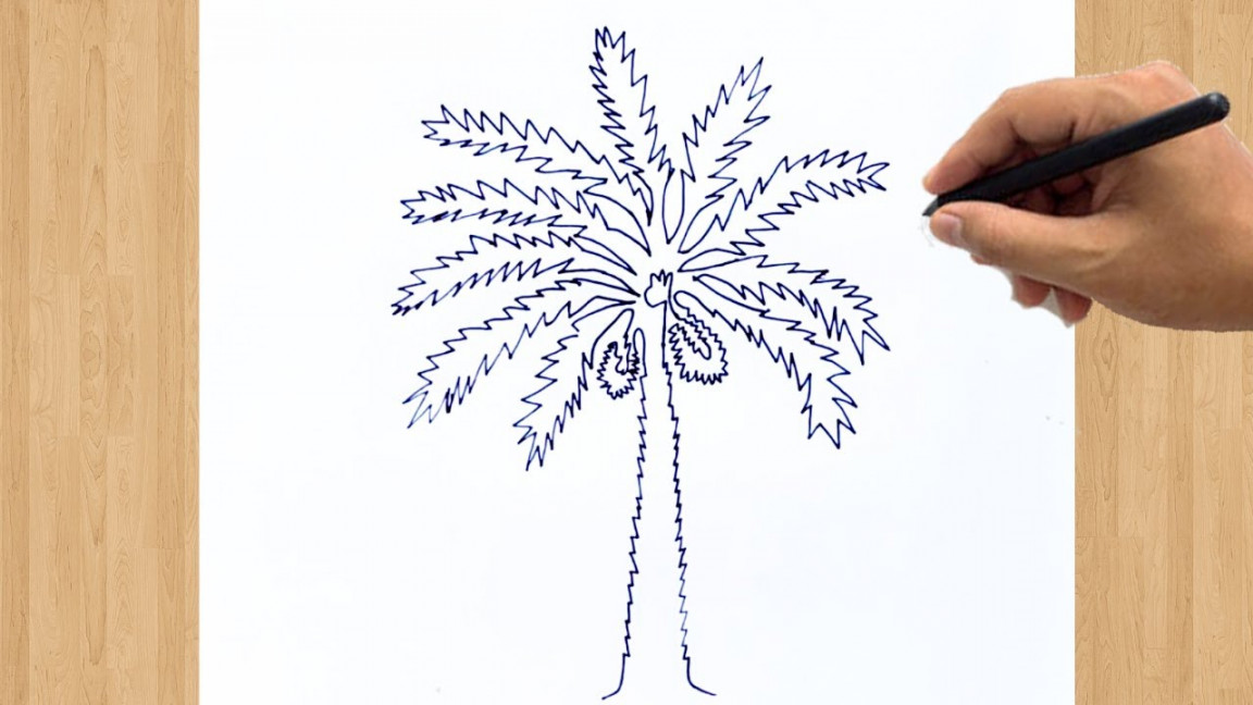 How to Draw a Date Palm Tree Drawing Easy Step by Step