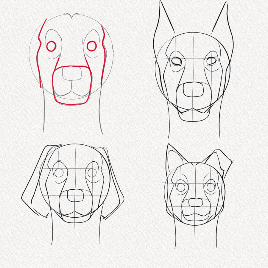 How to Draw a Dog Face – A Step-by-Step Tutorial – Artlex