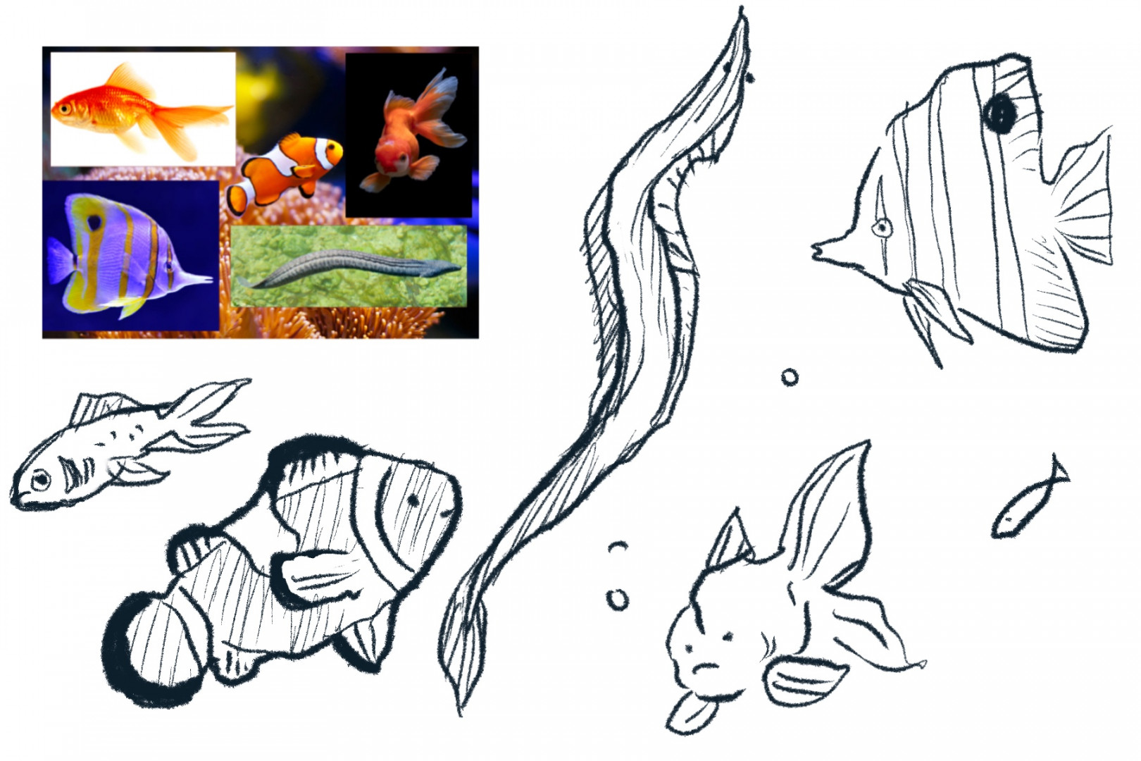 How to Draw a Fish