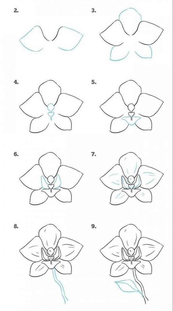 how-to-draw-a-flower-step-by-step-diy-tutorial-easy-pictures-to