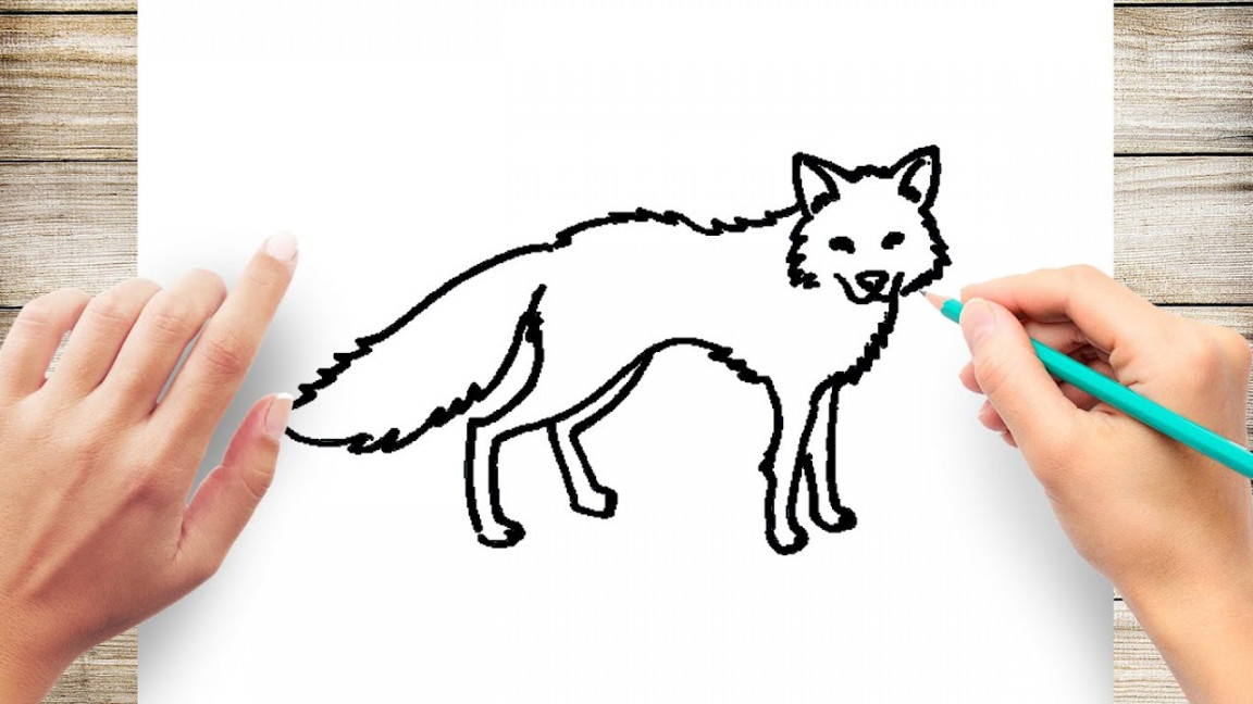 How to Draw a Fox (standing) Step by Step