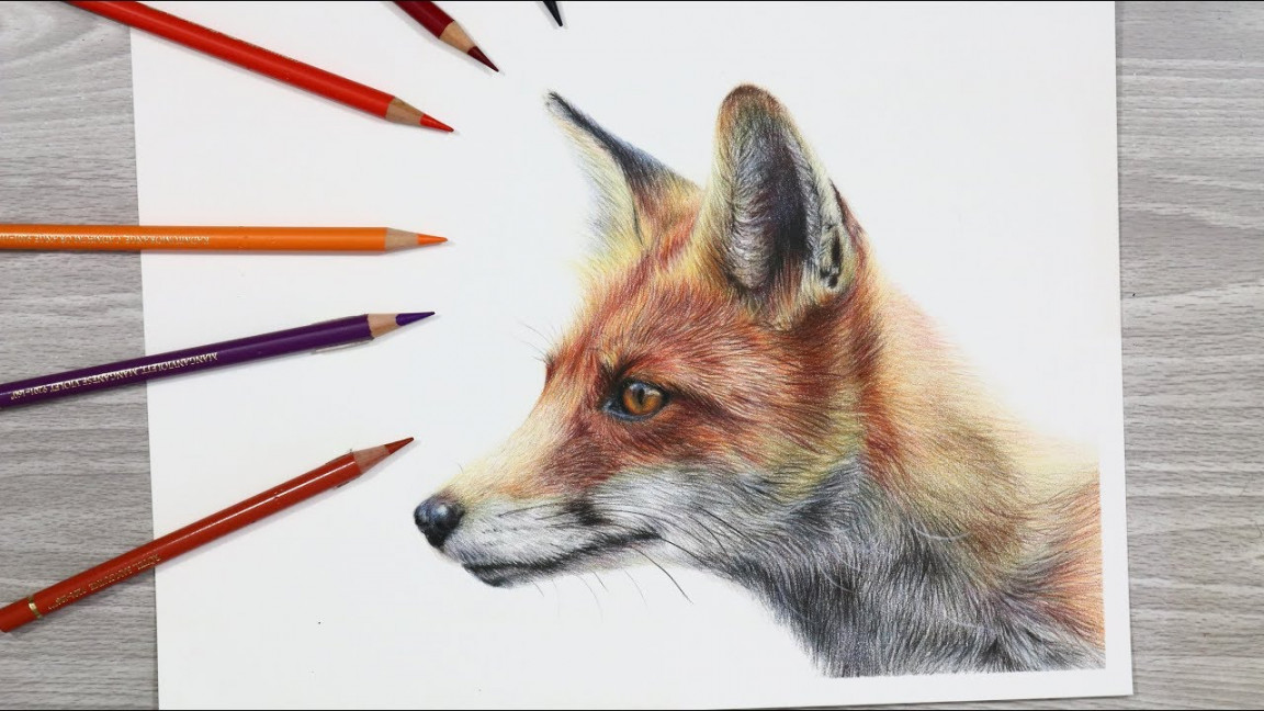 HOW TO DRAW a FOX with Colored Pencils