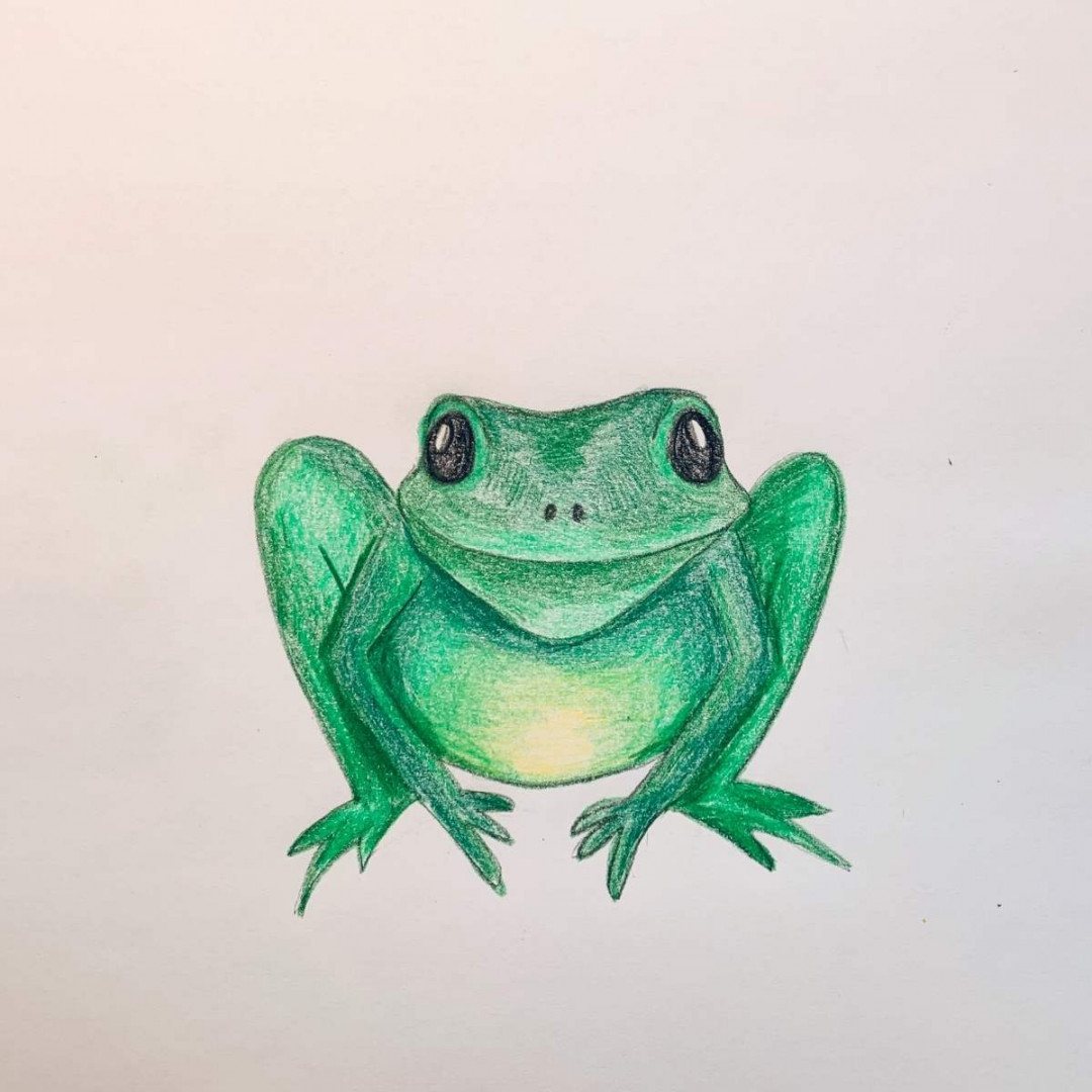 How to Draw a Frog With Face, Legs & Body - basicdraw