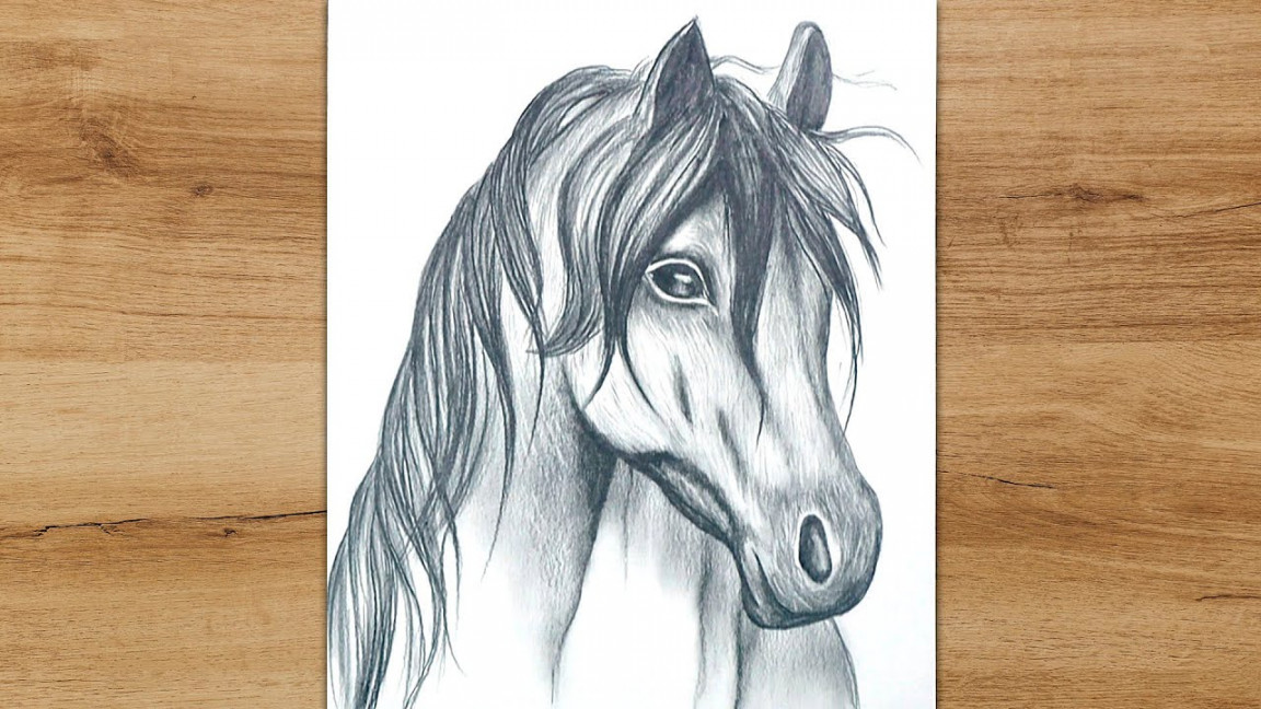 How to Draw a Horse Head Step by Step  Realistic Animal Drawing