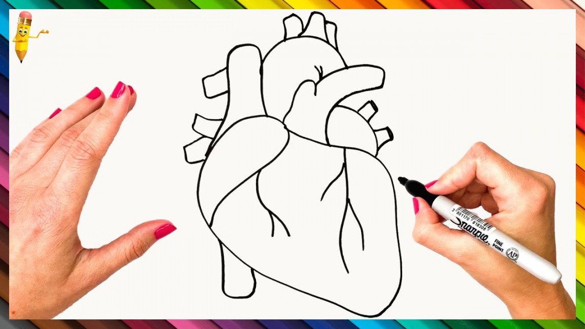 How To Draw A Human Heart Step By Step 🤎 Human Heart Drawing Easy