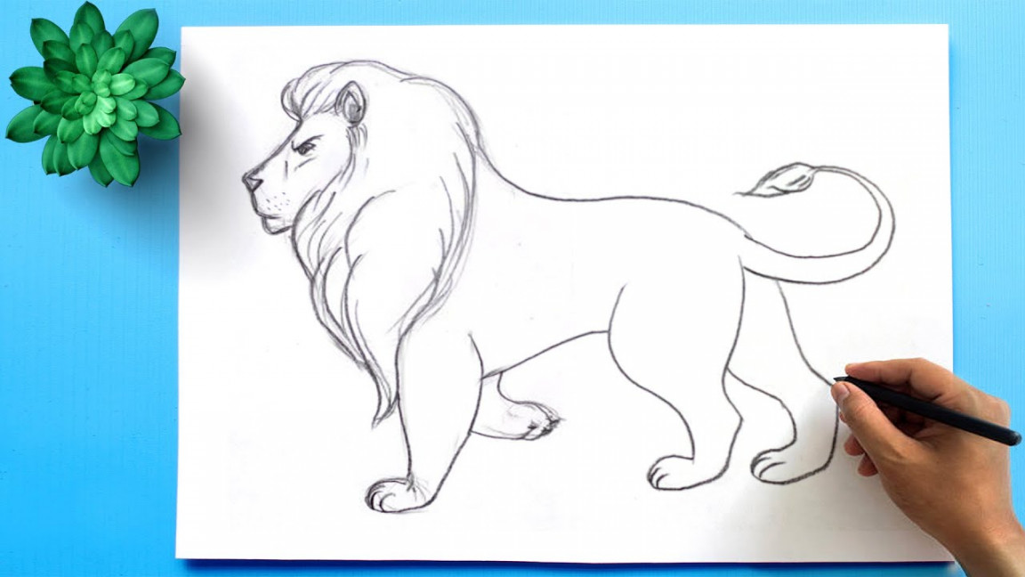 How to Draw a Lion Easy Step by Step  Lion Drawing