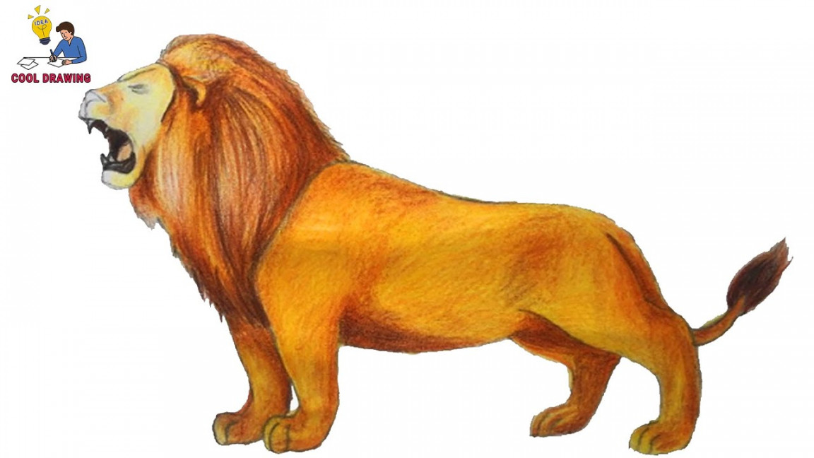 How to draw a lion step by step  Lion drawing colour  Lion drawing  tutorial  Cool Drawing Ideas