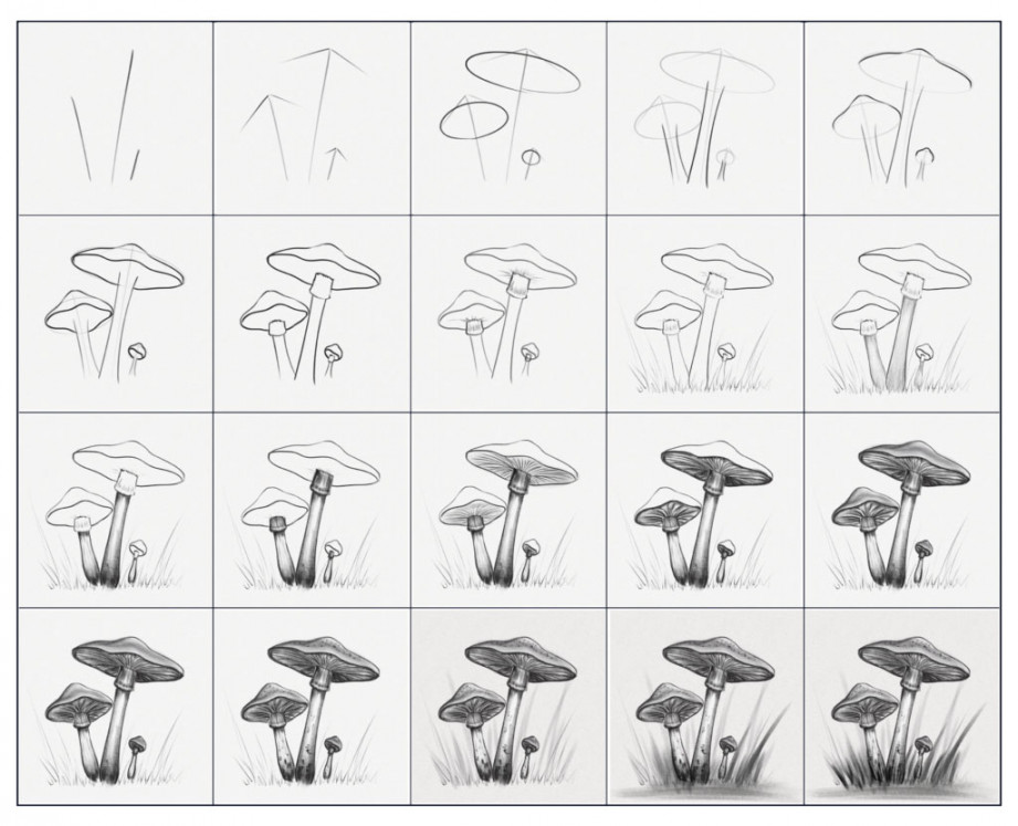 How to Draw A Mushroom – Step-by-Step Art Tutorial – Artlex