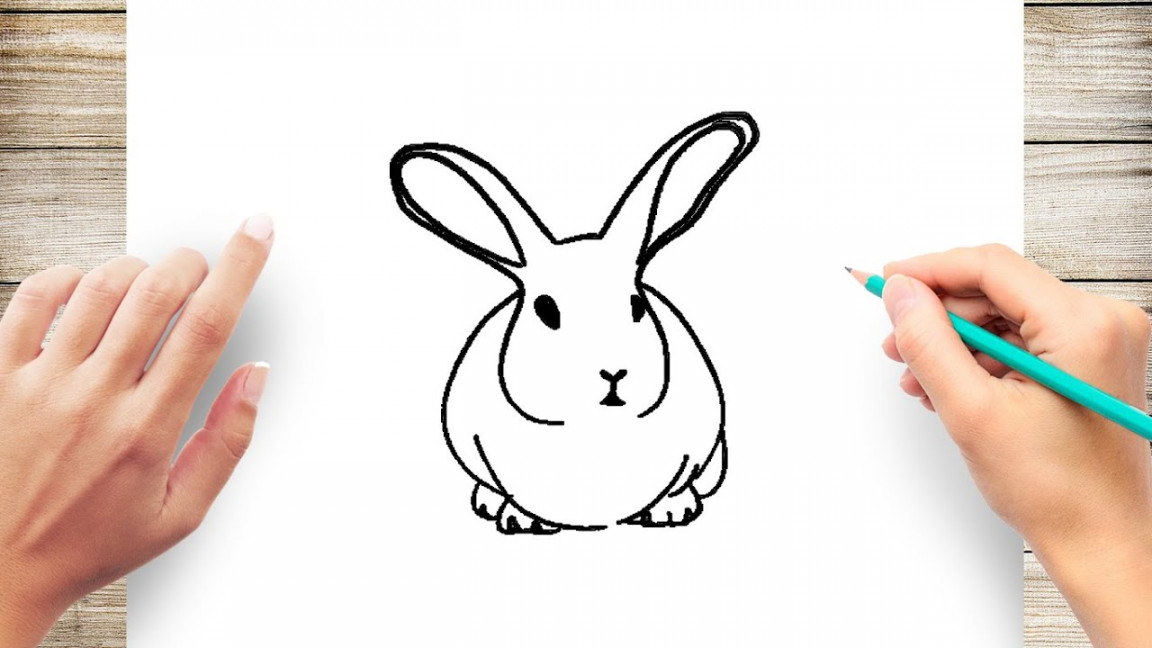 How to Draw a Rabbit Front View Step by Step