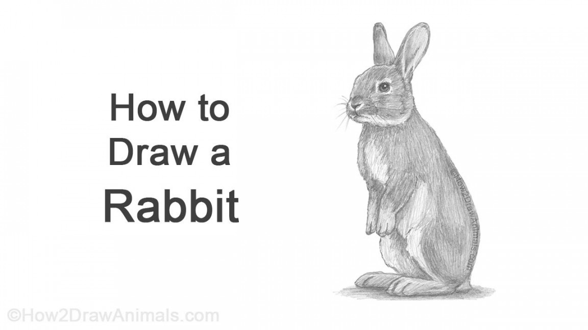 How to Draw a Rabbit (Standing)