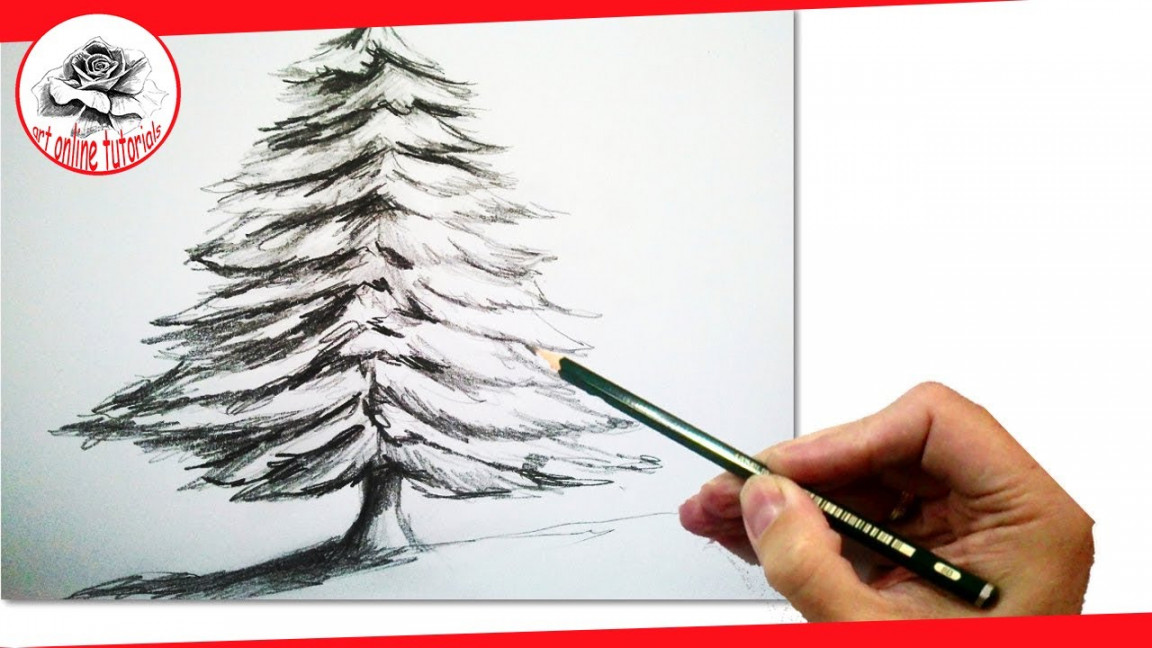 How to Draw a Realistic Christmas tree with pencil  #Draw step by step