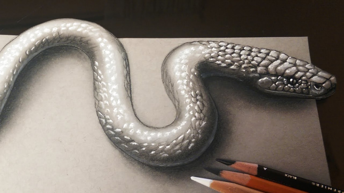 How to Draw a Realistic D Snake - D Art Kids and Adults