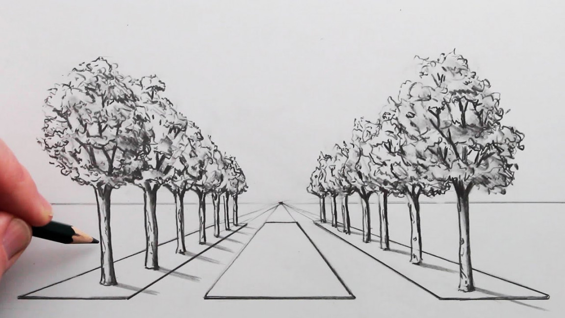 How to Draw a Road of Trees using -Point Perspective Step by Step