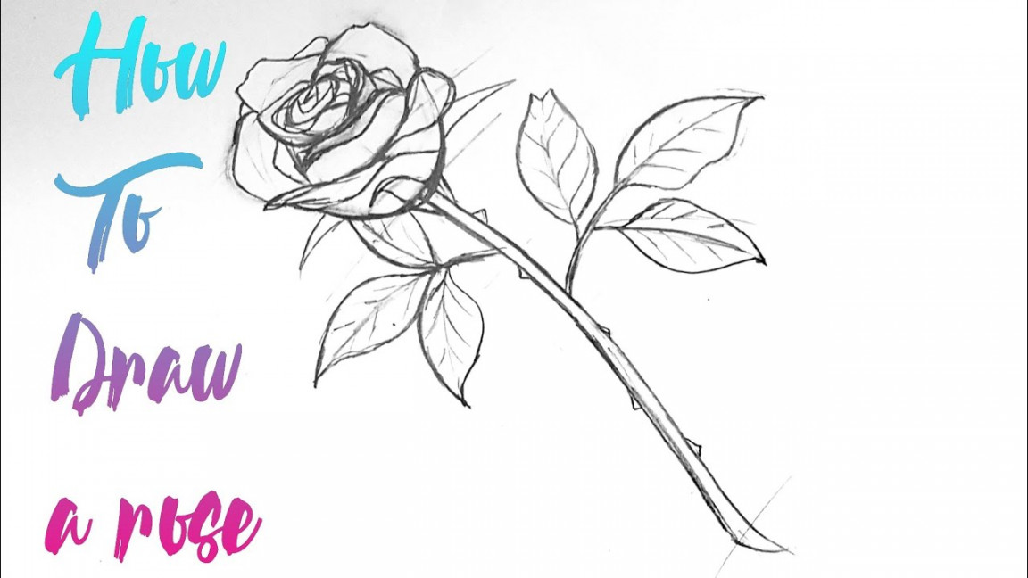 How To Draw a ROSE - Step by Step Drawing Tutorial