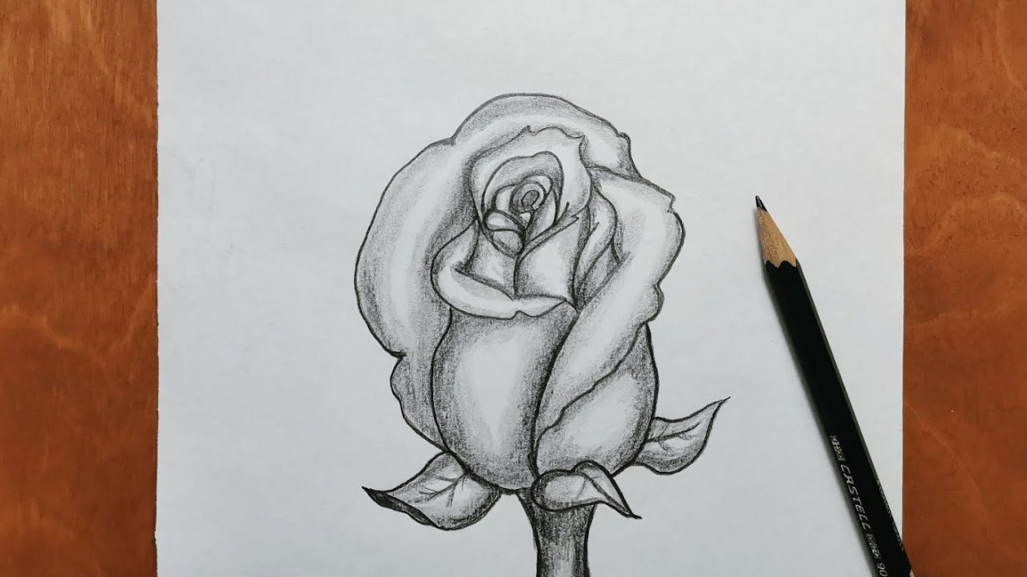 How To Draw a Rose step by step pencil and shading Easy Art Tutorial For  Beginners رسم بالرصاص سهل