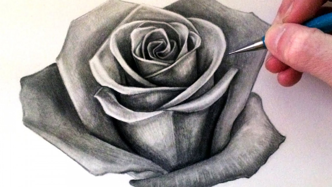 How to Draw a Rose