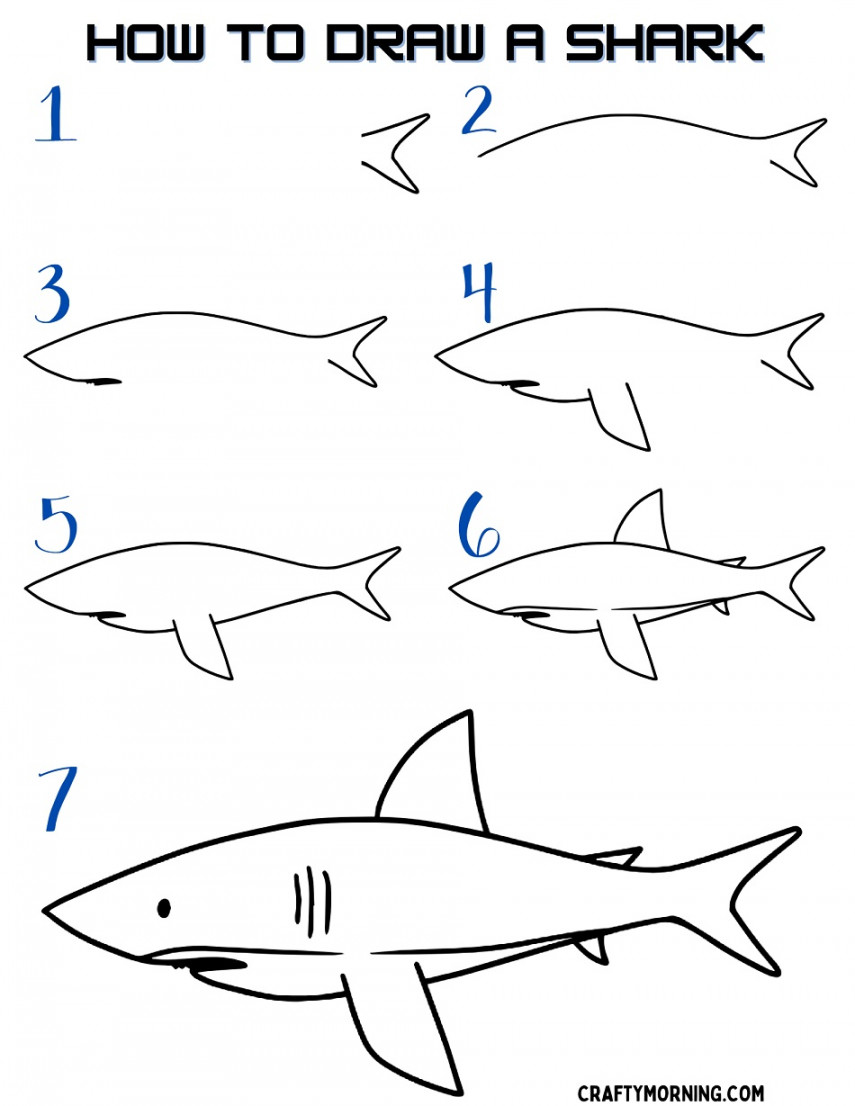 How to Draw a Shark (Easy Step by Step) - Crafty Morning