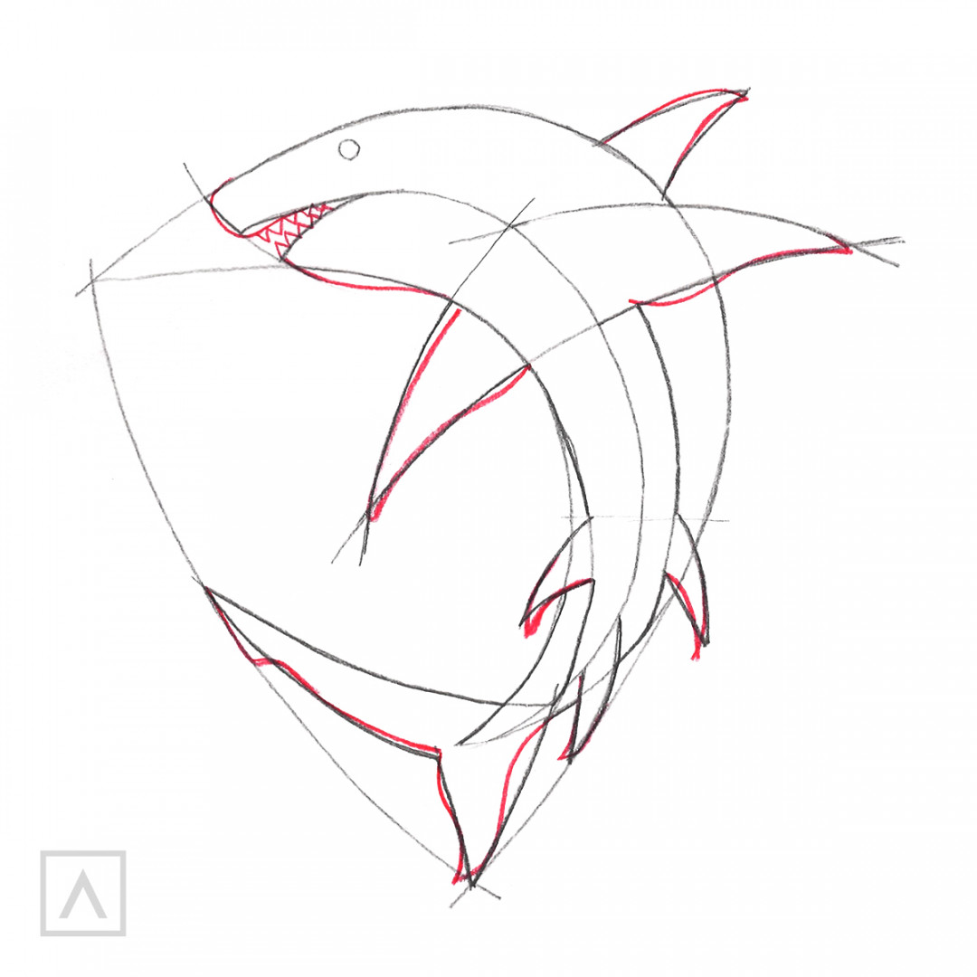 How to Draw a Shark in  Steps – Arteza