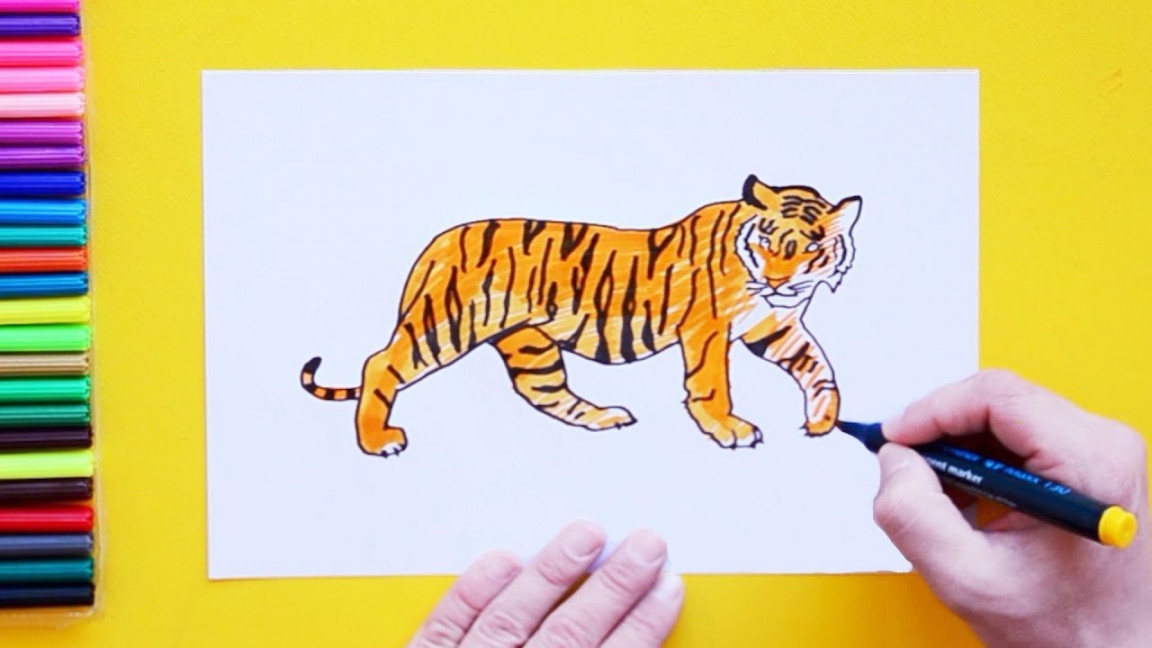 How to draw a tiger - National Animal of India