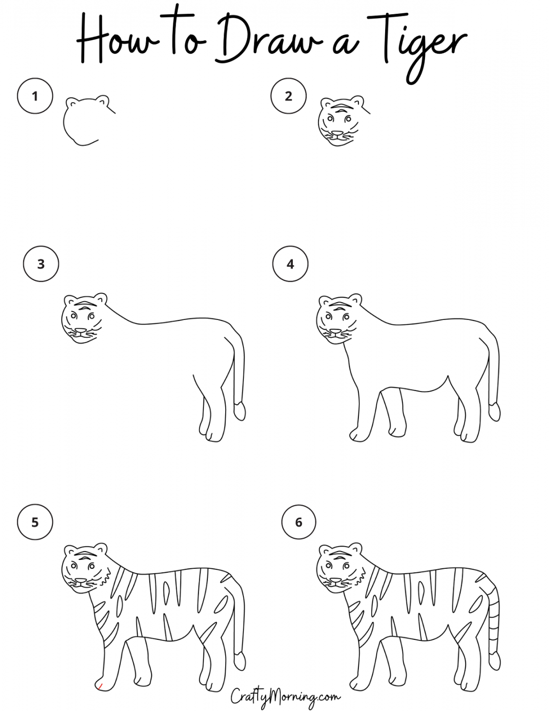 How to Draw a Tiger Step by Step - Crafty Morning