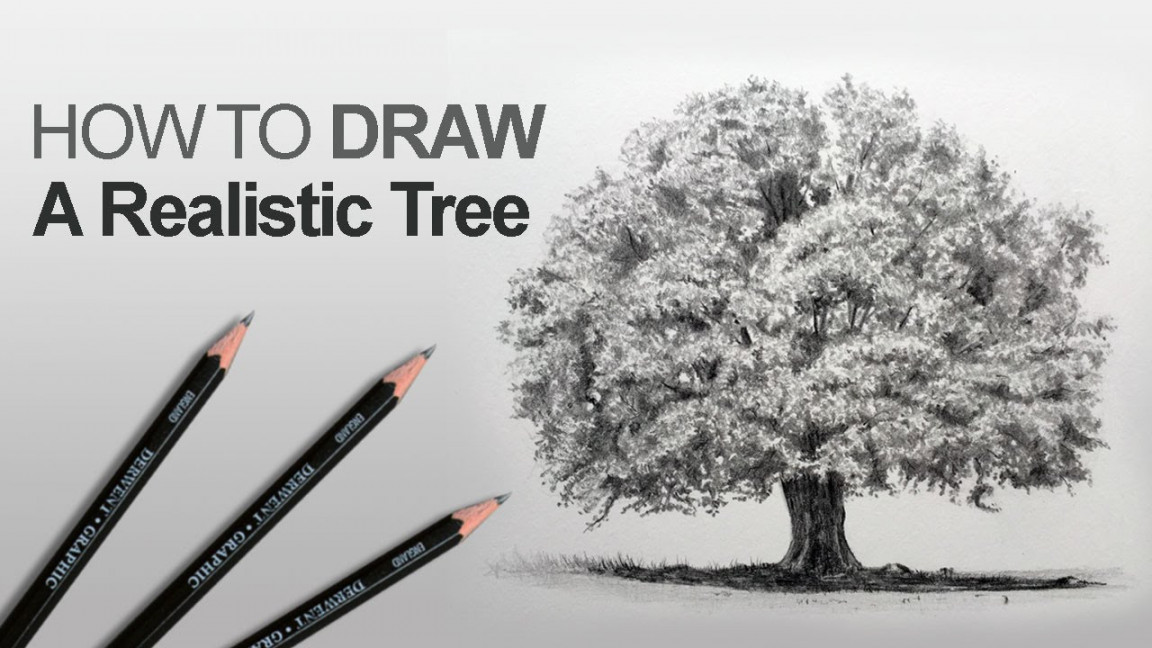 How to Draw a Tree (Realistic)