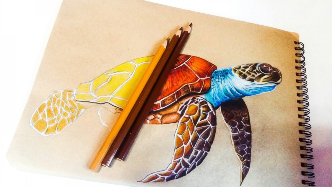 how to draw a turtle step by step Art #