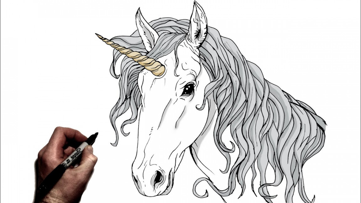 How To Draw A Unicorn  Step By Step