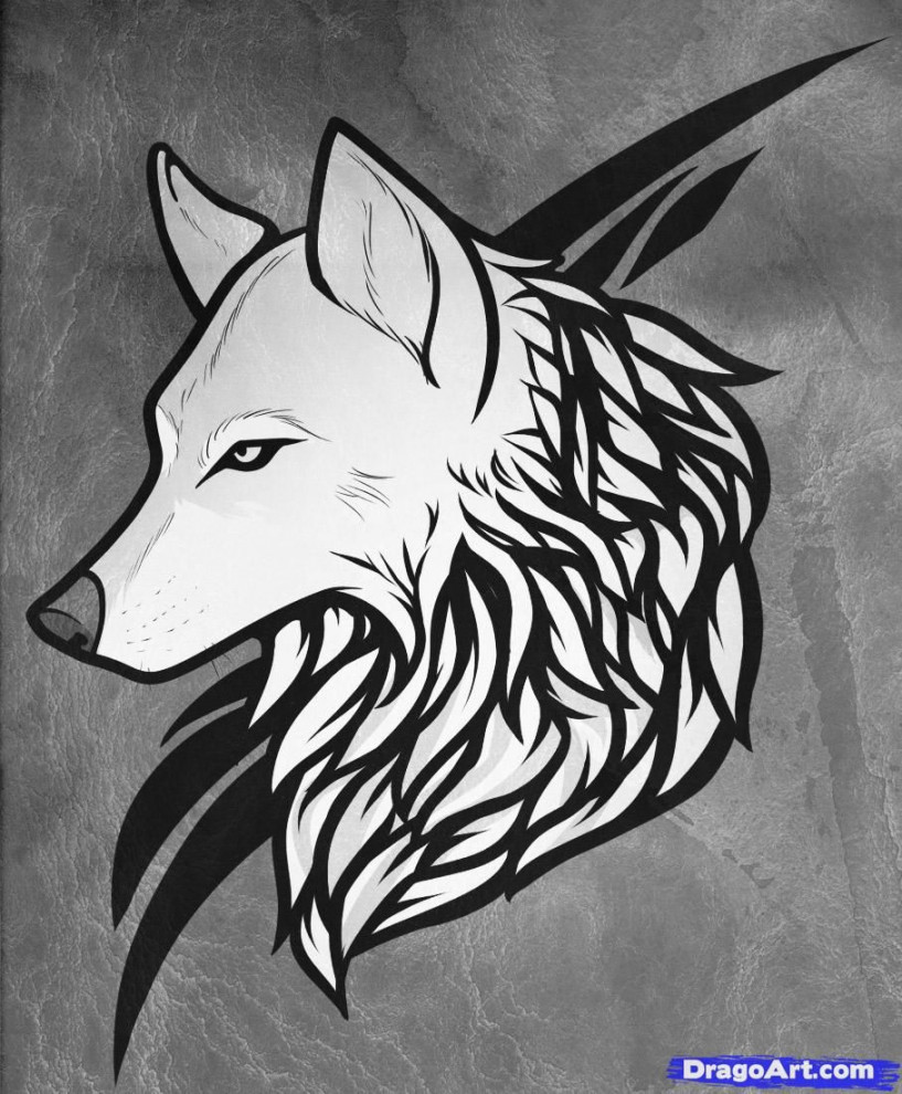 How to Draw a Wolf Tattoo, Wolf Tattoo, Step by Step, Tattoos, Pop