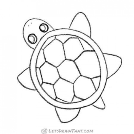 How to draw an easy turtle - completed pencil outline  Let