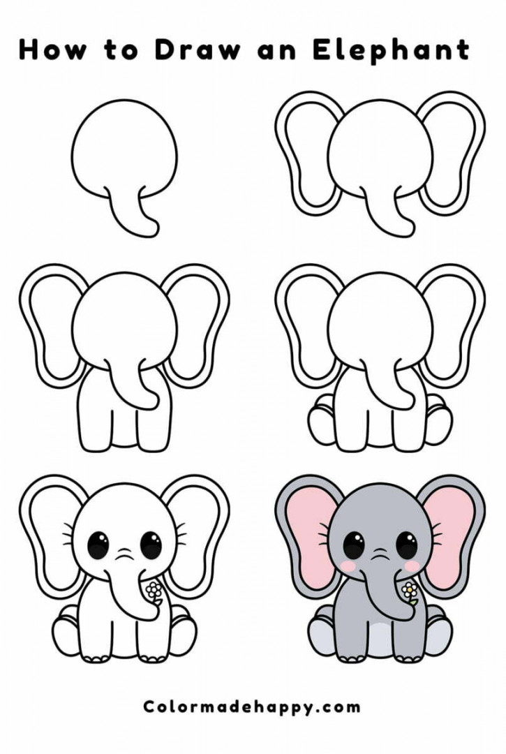 How to Draw an Elephant - Easy Step by Step Instructions