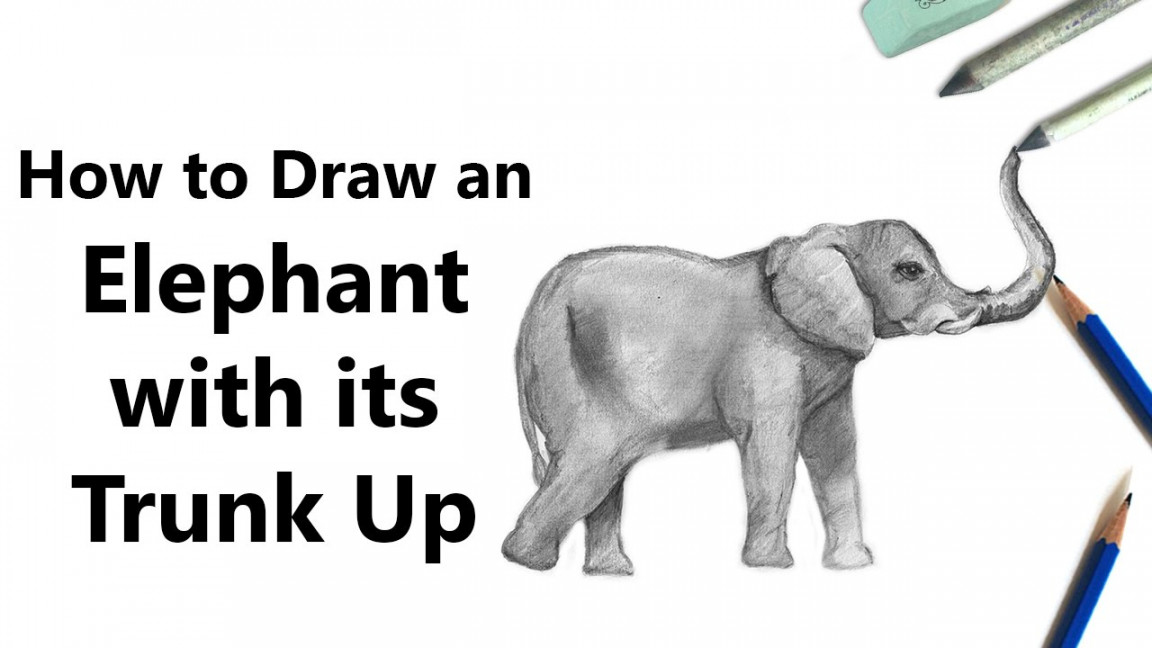 How to Draw an Elephant with its Trunk Up with Pencils [Time Lapse]