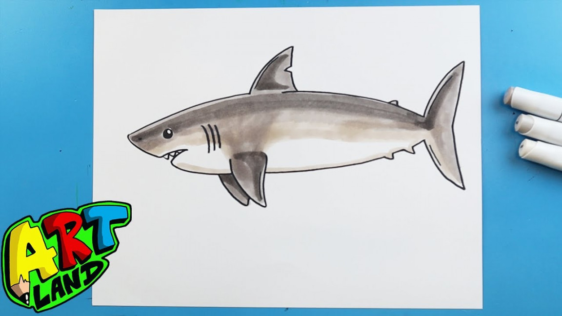 How to Draw and Color a Shark