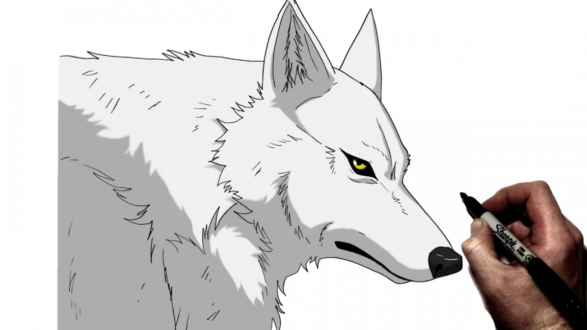 How To Draw Anime Wolf (Kiba)  Step By Step