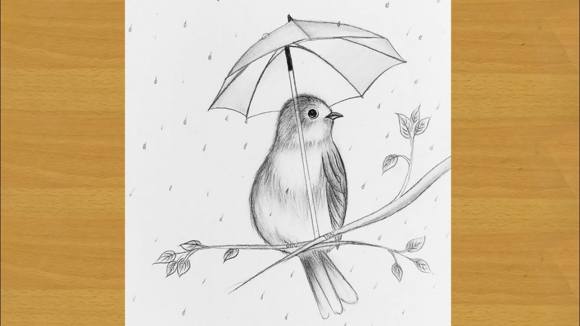 How to draw bird with umbrella  pencil sketch  Gali Gali Art