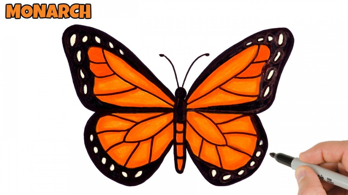 How to Draw Butterfly Easy  Monarch butterfly drawing and coloring  Art  Tutorial