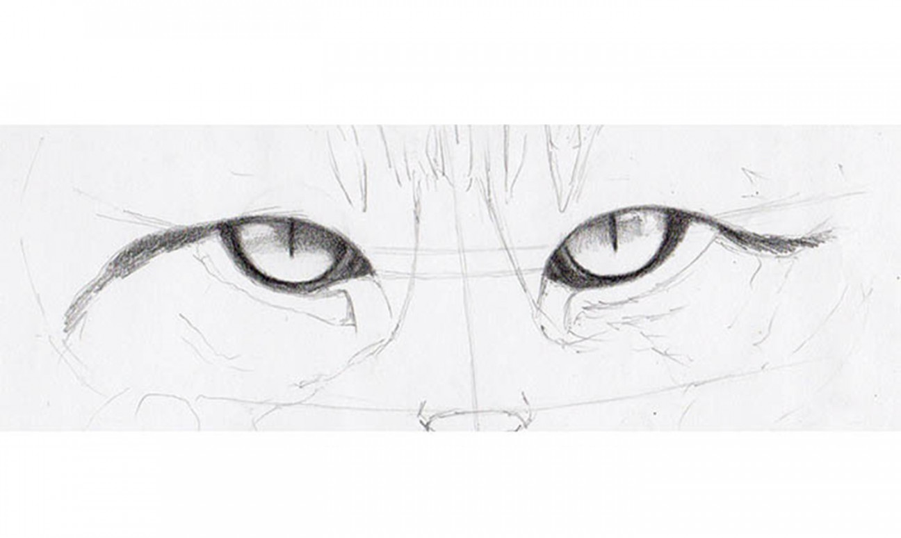 How to Draw Cat Eyes That Look Real  Craftsy