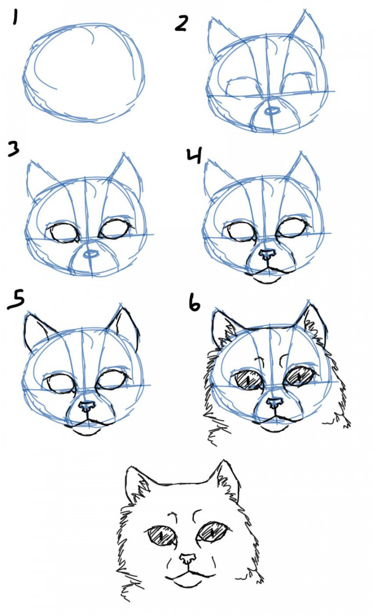 How to Draw Cat Faces/Heads- Front View  Animal drawings, Cat