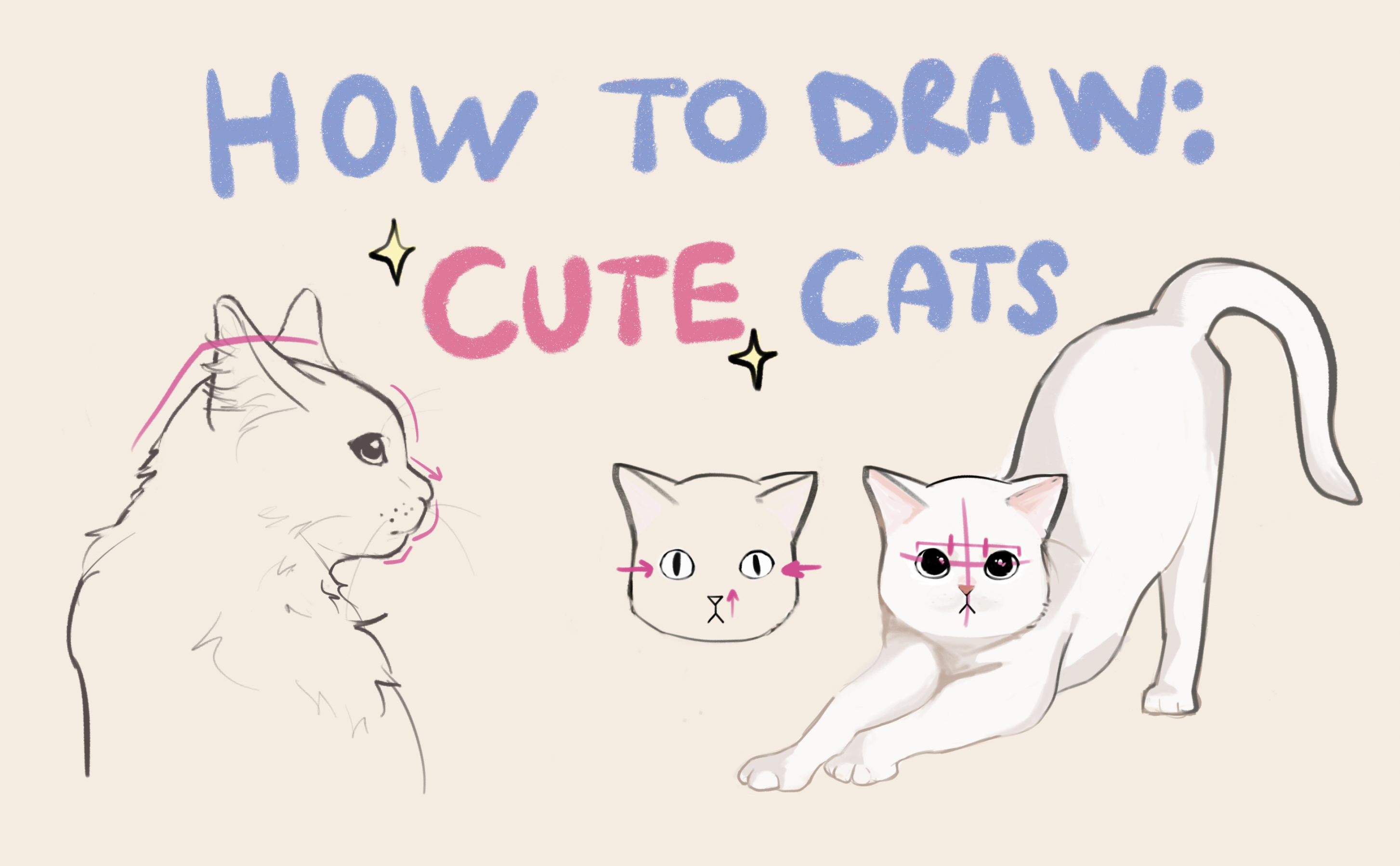 How to Draw Cute Cats by Goldish - Make better art  CLIP STUDIO TIPS