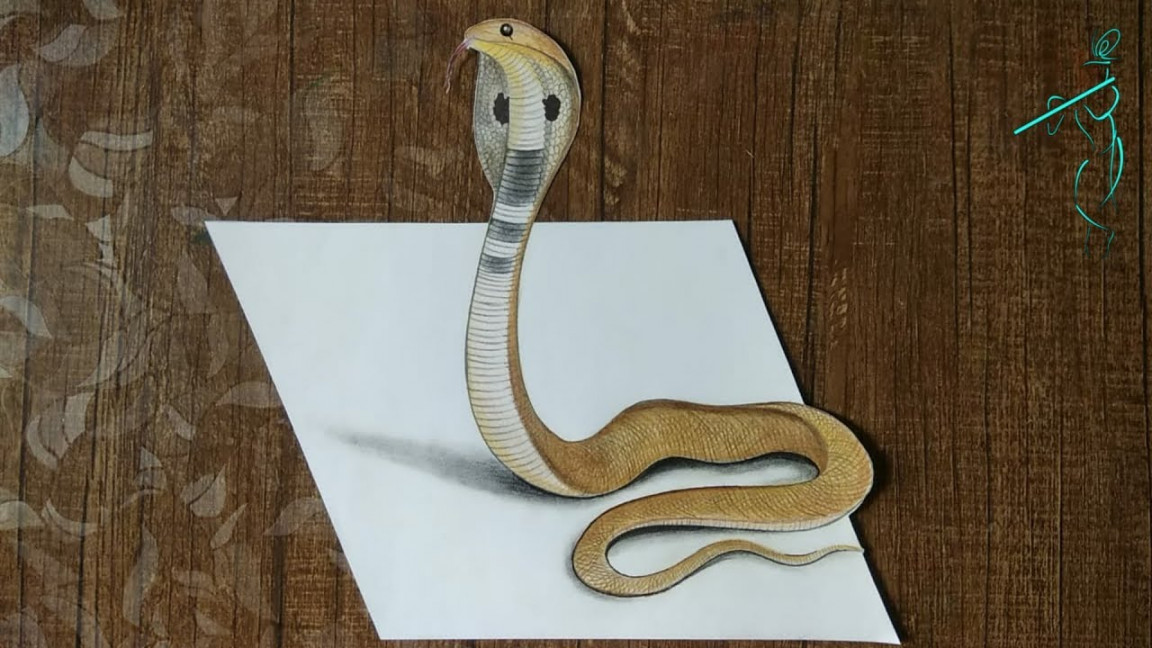 How to draw d Snake Step by step  D Drawing with pencil